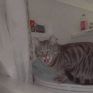 Meet your Posher, Jorja